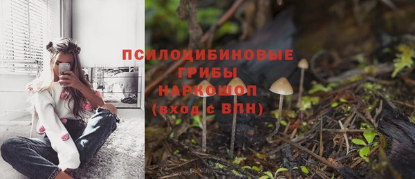 не бодяженный Краснослободск