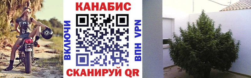 Купить где Лесосибирск Бошки Шишки планчик